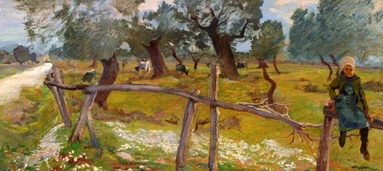 Olivier avec paysan